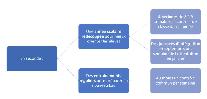 La classe de seconde Saint-Nabord 1